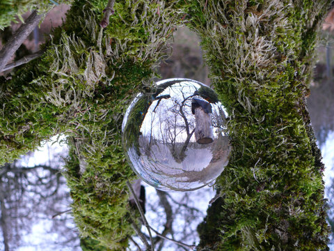 Cristal Ball Into The Forest