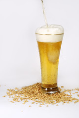 Glass of beer and malt seeds on white closeup