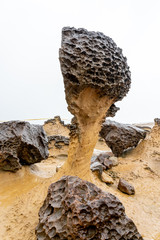 Mushroom Rock at Yehliu Geopark in Taipei, Taiwan.The mushroom rocks are formed with globe-shape rocks on the top while supporting by the thin stone pillars on the bottom.