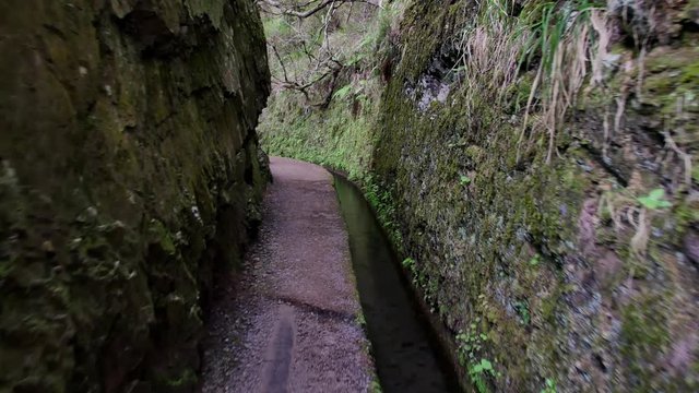 Levada  dos Tornos, Madeira.
