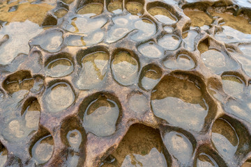 Honeycomb Weathering rock at Yehliu Geopark in Taiwan. Honeycombed rocks refer to the rocks that...