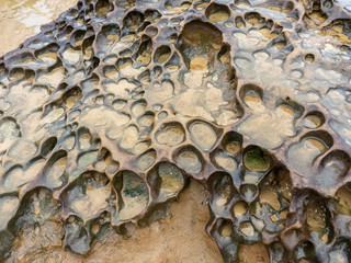 Honeycomb Weathering rock at Yehliu Geopark in Taiwan. Honeycombed rocks refer to the rocks that are covered with holes of different sizes and appear like the honeycombs as a result.