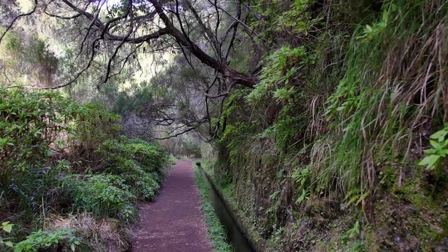 Levada  dos Tornos, Madeira.