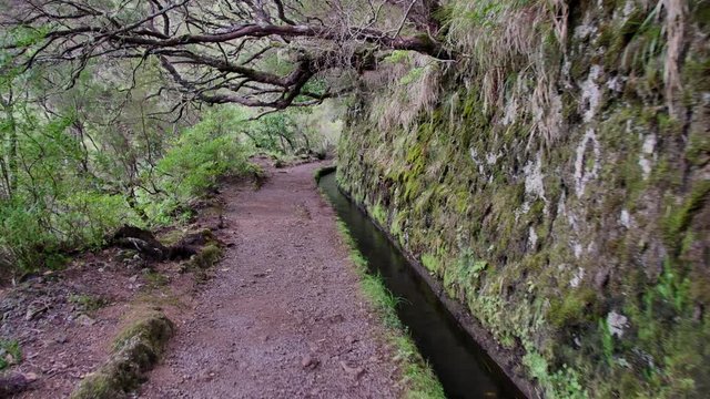 Levada  dos Tornos, Madeira. Beautiful footpath in spring sunlight.