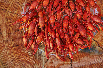 Crawfish cooked and served on wooden background