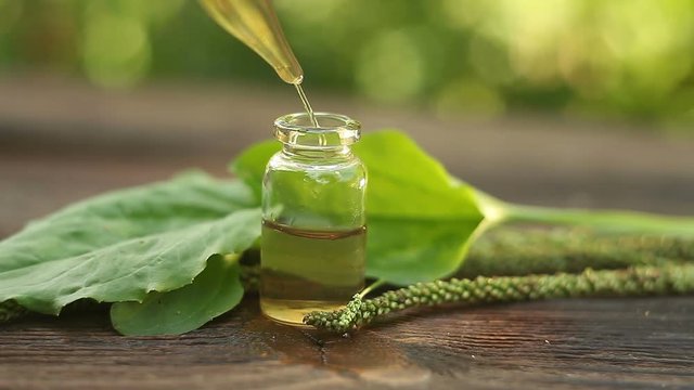 fleaworts essential oil in  beautiful bottle on table