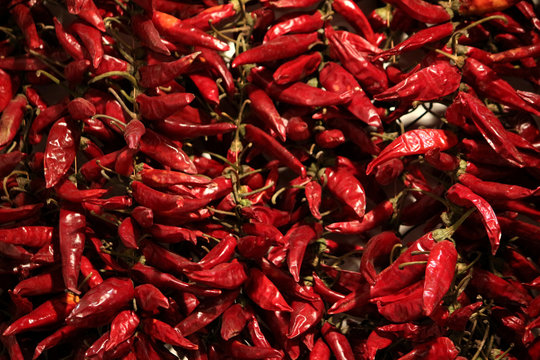 Scharfe Chili Schotten