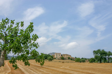 Finca auf Mallorca