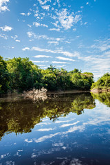 Corocoro River & Amazonian Landscape deep in the rainforests of Yutaje, Venezuela