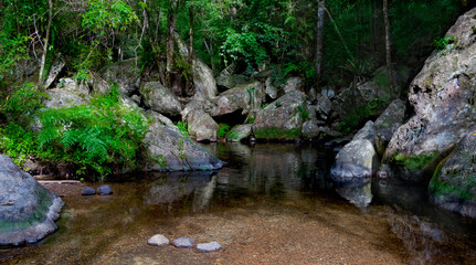 Naklejka na ściany i meble A calm tropical creek with the cleanest pristine water slowly flows among mossy rocks in the rainforest. Stoney Creek Environmental Reserve, Kamerunga, Cairns. Far North Queensland. Australia 