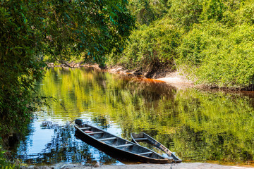 Corocoro River & Amazonian Landscape deep in the rainforests of Yutaje, Venezuela