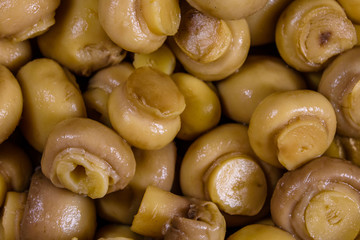 Texture of the canned mushrooms for the background