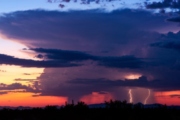 Fototapeta premium Thunderstorm cloud with lightning at sunset