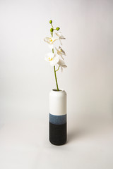 Orchidée décorative sans un vase