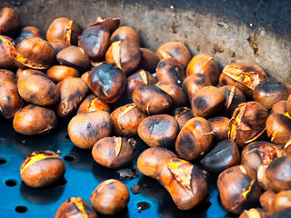 Grilled chestnuts for sale in a market stall.Cooking, Chestnut - Food, Fire - Natural Phenomenon, Roasted, Autumn