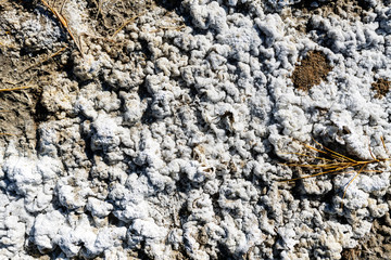 Alkali close up at Owens Lake, California, USA