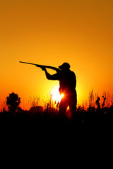 Bird Hunting - Silhouette