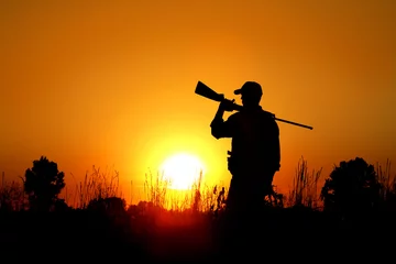 Fotobehang Bird Hunting - Silhouette © LUGOSTOCK