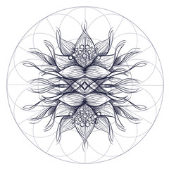 Elegant element of a stylized flower with smooth lines. Stylized floral element for design.