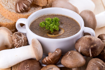 mushroom soup