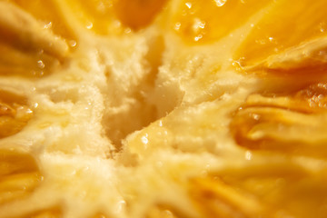 Orange inside 02