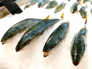 Raw seafood on ice at the fish market