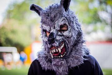 Person with wolf mask photograph