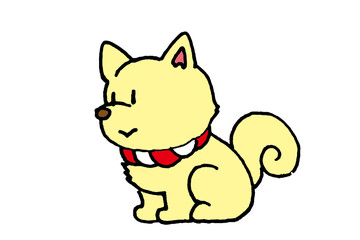 白いかわいい犬