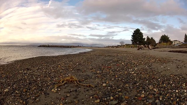 Time Lapse: Rocky Beach and Calm Water on a Serene Day