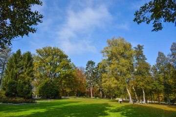 Fototapeta na wymiar Autumn city park, amazing fall colors