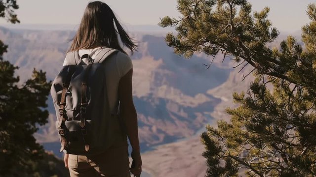 Slow motion back view happy tourist woman hiking, taking smartphone photo of epic Grand Canyon park mountain scenery.