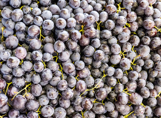 black grapes, fruit and vegetable exhibits