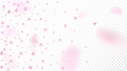 Fototapeta na wymiar Nice Sakura Blossom Isolated Vector. Realistic Flying 3d Petals Wedding Frame. Japanese Beauty Spa Flowers Wallpaper. Valentine, Mother's Day Tender Nice Sakura Blossom Isolated on White