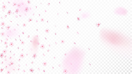 Nice Sakura Blossom Isolated Vector. Realistic Flying 3d Petals Wedding Frame. Japanese Beauty Spa Flowers Wallpaper. Valentine, Mother's Day Tender Nice Sakura Blossom Isolated on White