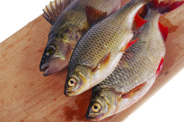 Rudd and perch on the kitchen board