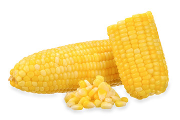 Sweet corn isolated on white clipping path