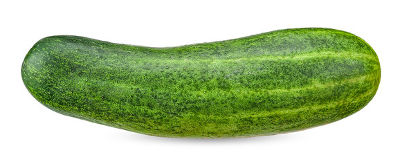 Fresh cucumber isolated on white clipping path