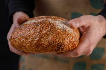 Homemade rye round bread in the hands of a baker close-up on a dark background. The concept of healthy food and traditional bakery.