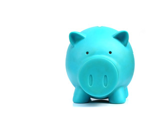 Blue Pig savings on whitebackground