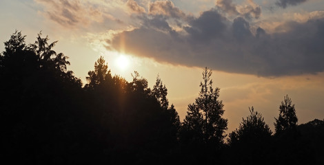 Beautiful silhouette of trees and orange sunset and clouds.