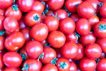 Heap of freshly harvested organic tomatoes for sale