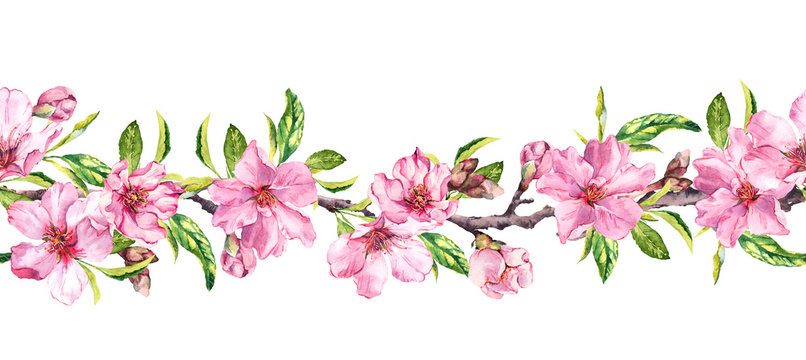 Apple, cherry pink flowers. Seamless floral stripe frame. Botanical watercolour painted border