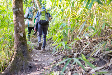 Obraz premium Young man hiking in forest alone with backpack, adventure trip.