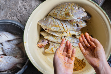 Close-up of hands with wet turmeric powder with raw fish. Selective focus.