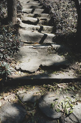 natural soil stairs in the wood