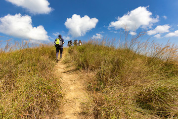 Obraz premium A group of friends climb a mountain alone. Mountain in Thailand, Khao Chang Puak in Kanchanaburi province