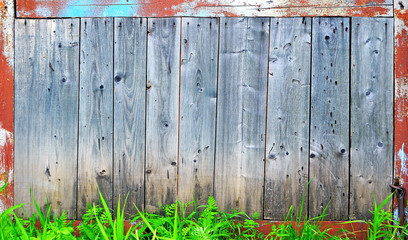 Texture of gray old wooden board. Background photo. Grass seedlings are visible below.