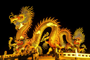 The Chinese style Golden statue of a magnificent golden king dragon with light up illuminated at...