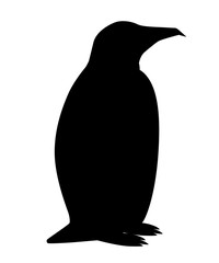Black silhouette. Adult emperor penguin. Arctic animal, cartoon flat design. Vector illustration isolated on white background