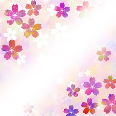 Obraz na płótnie Canvas 桜　さくら　和柄　和風　和柄背景　和風背景　花見